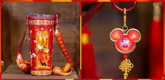 12 Saving Tips: How to Save Money at Disney World Orlando