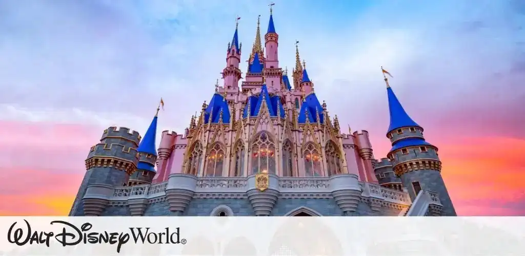 Disney World Picture