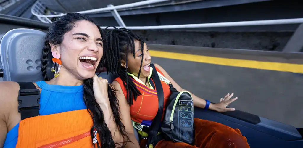 Disney World Picture