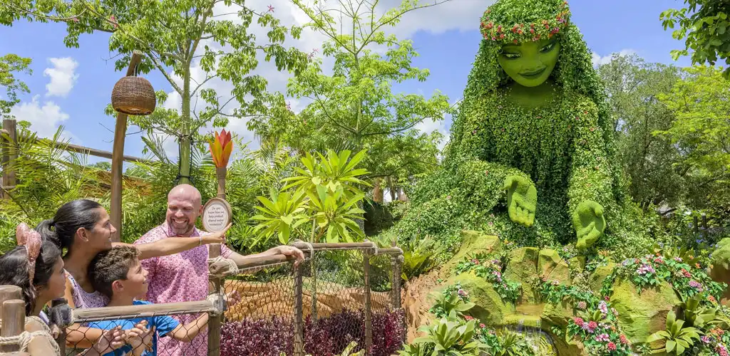 Disney World Picture