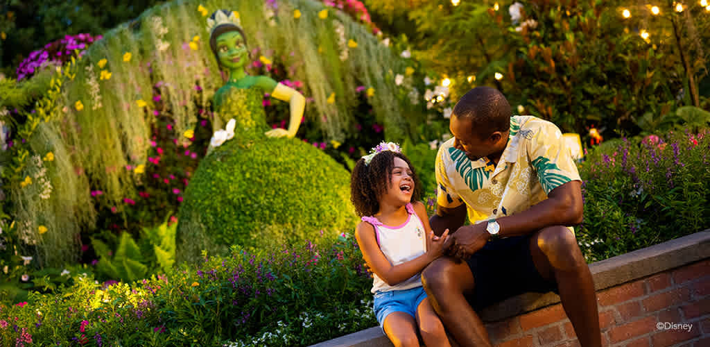 Disney World Picture