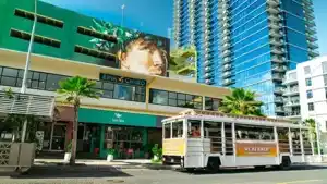 Seven-Day Four-Line Pass