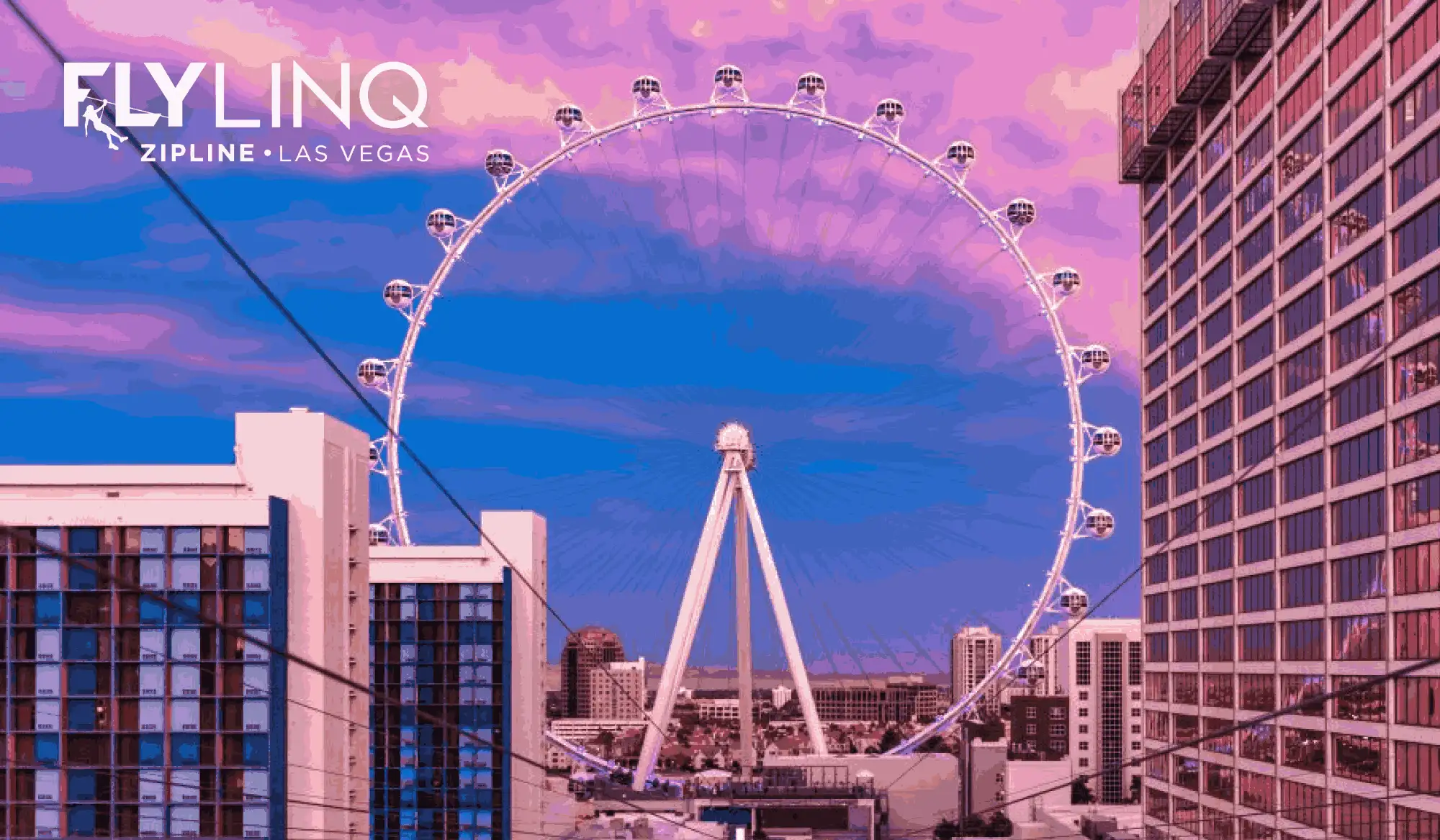 FlyLINQ Zipline: Fast Track