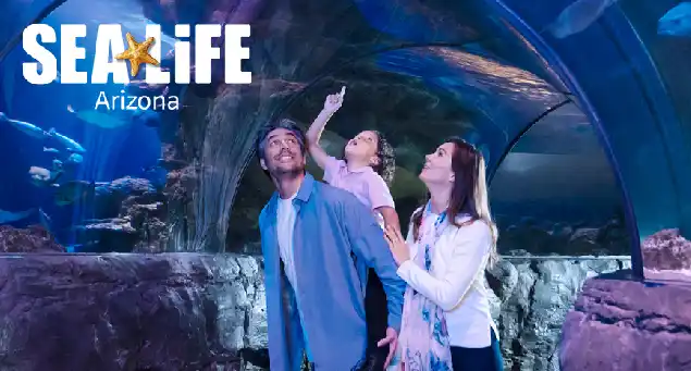 Sea Life Arizona