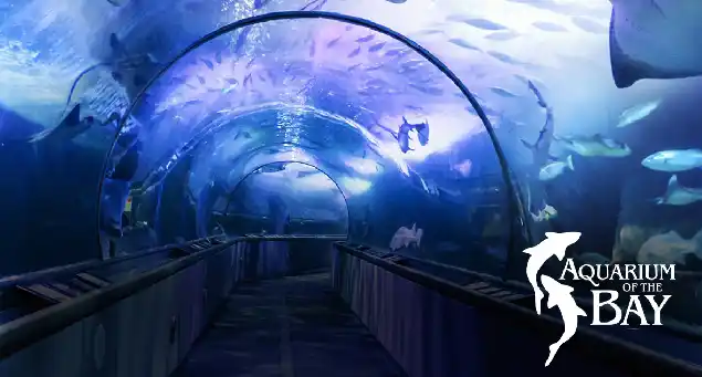 Aquarium of the Bay San Francisco