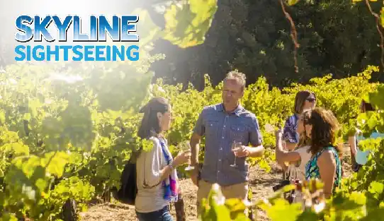 Half Day Wine Country Tour