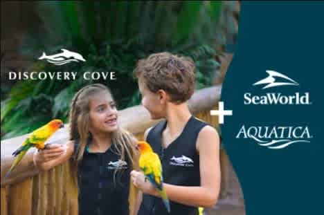 Resort Package with SeaWorld Orlando & Aquatica Orlando (2 Parks)