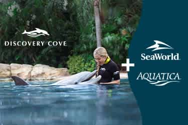 Dolphin Swim Package with SeaWorld Orlando & Aquatica Orlando (2 Parks)
