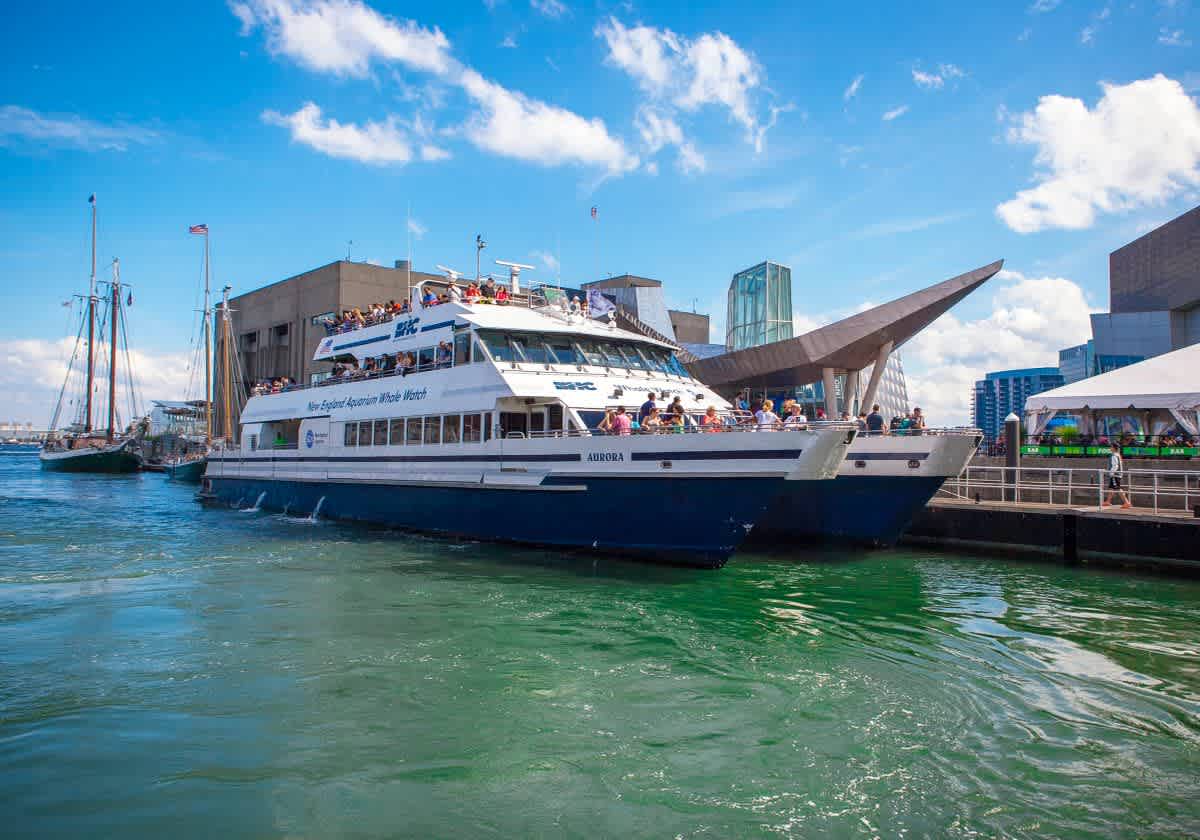 New England Aquarium Whale Watch Cruise