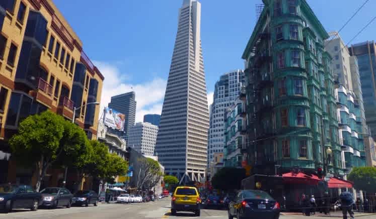 1-Day Hop-On Hop-Off Tour