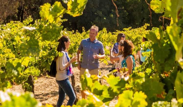 Half Day Wine Country Tour