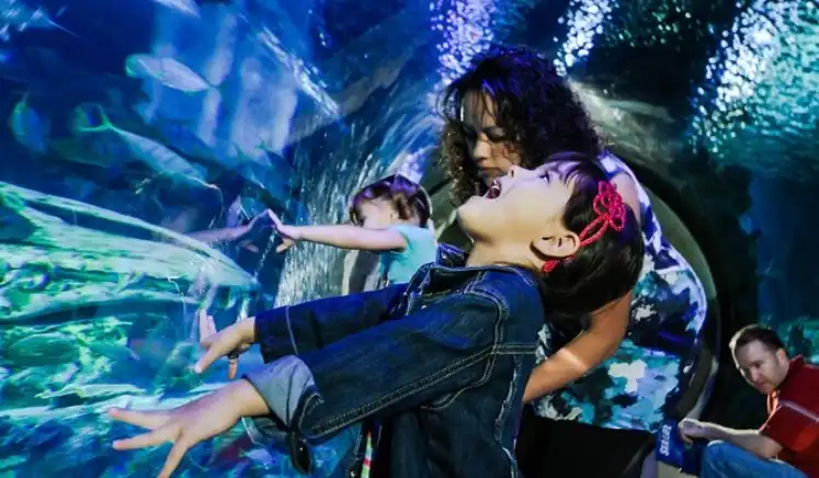 Sea Life Kansas City