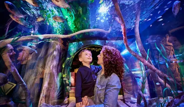 Sea Life Aquarium, New Jersey