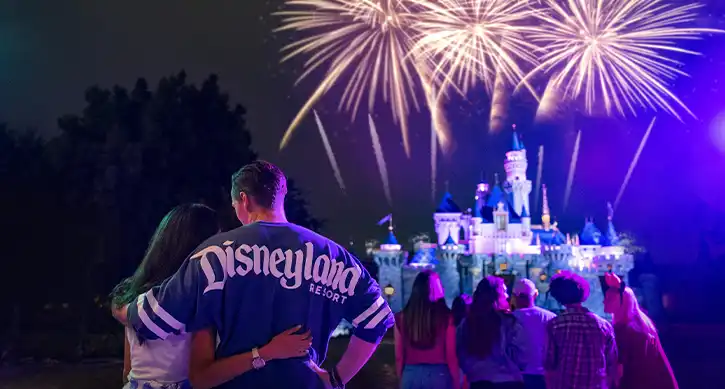 Classic Disney characters greeting families at Disneyland Park near Sleeping Beauty Castle.