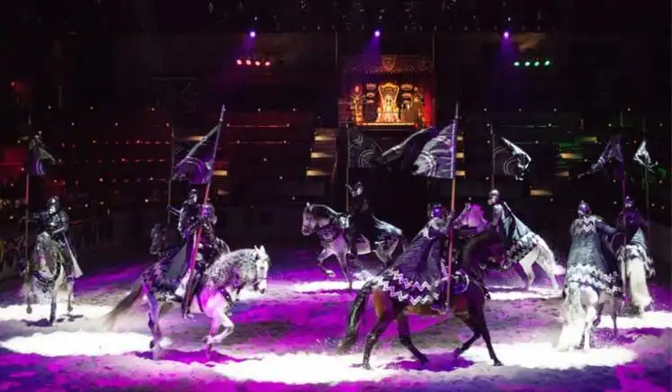 Medieval Times Dallas