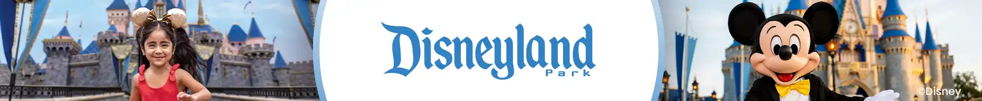 Disneyland Special Offer Banner
