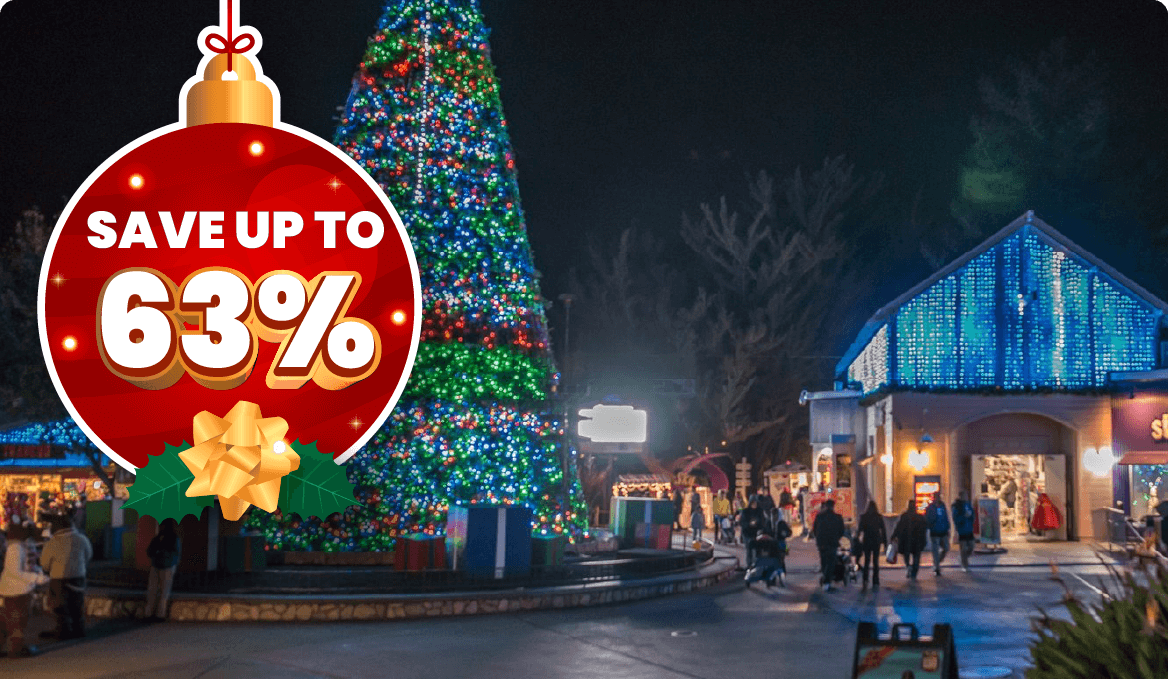 Six Flags Discovery Kingdom Image