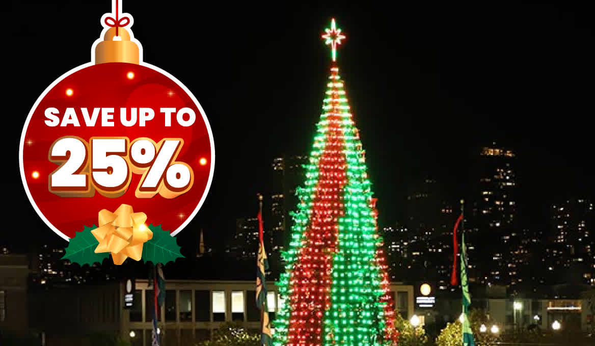 Big Bus San Francisco Image