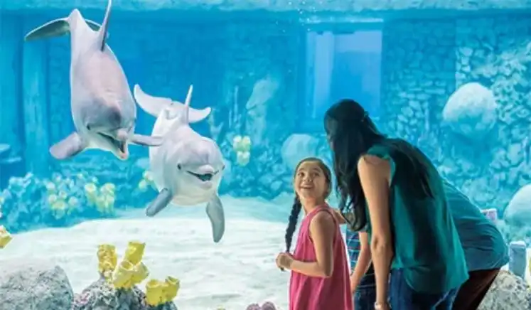 SeaWorld San Antonio