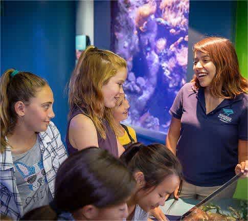 12 Saving Tips: How to Save Money at Disney World Orlando