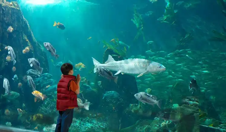 Vancouver Aquarium