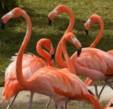 12 Saving Tips: How to Save Money at Disney World Orlando