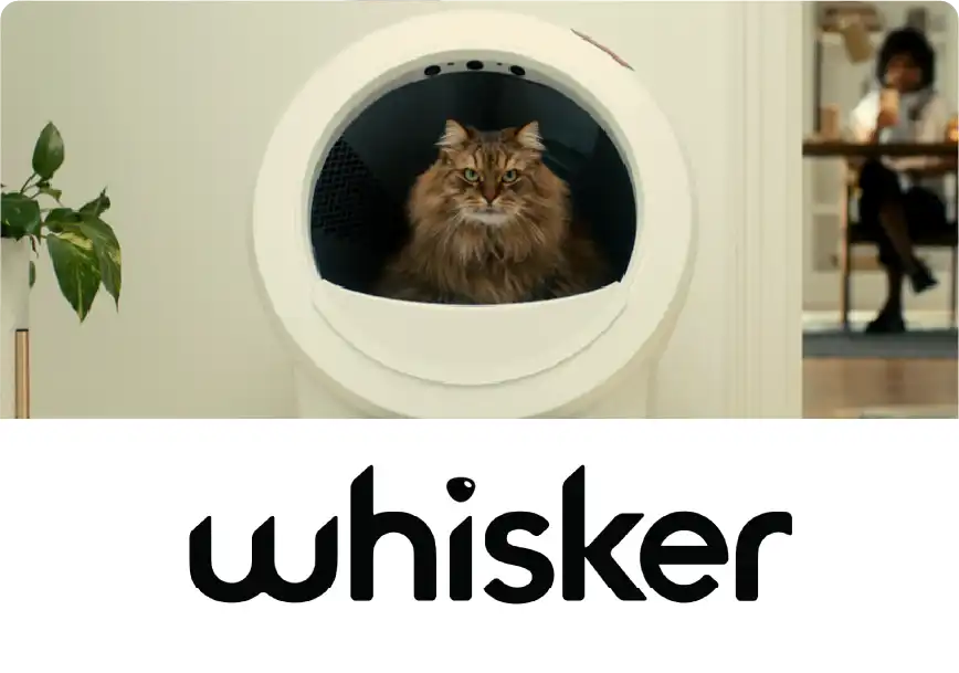 Save an extra $50 off a Litter-Robot and select bundles!