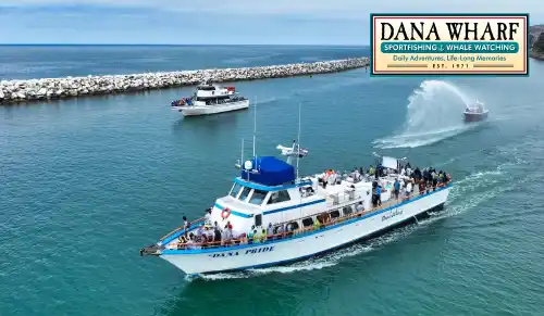 Dana Wharf Sportfishing, Whale Watching & Wine Cruises