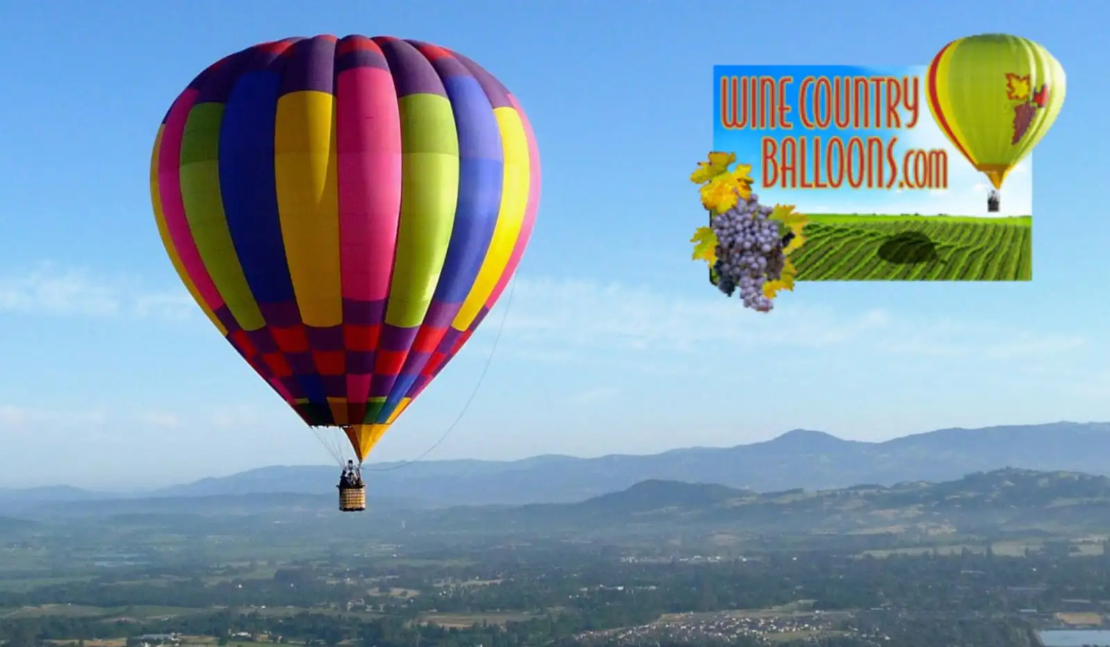 Above the Wine Country Balloons