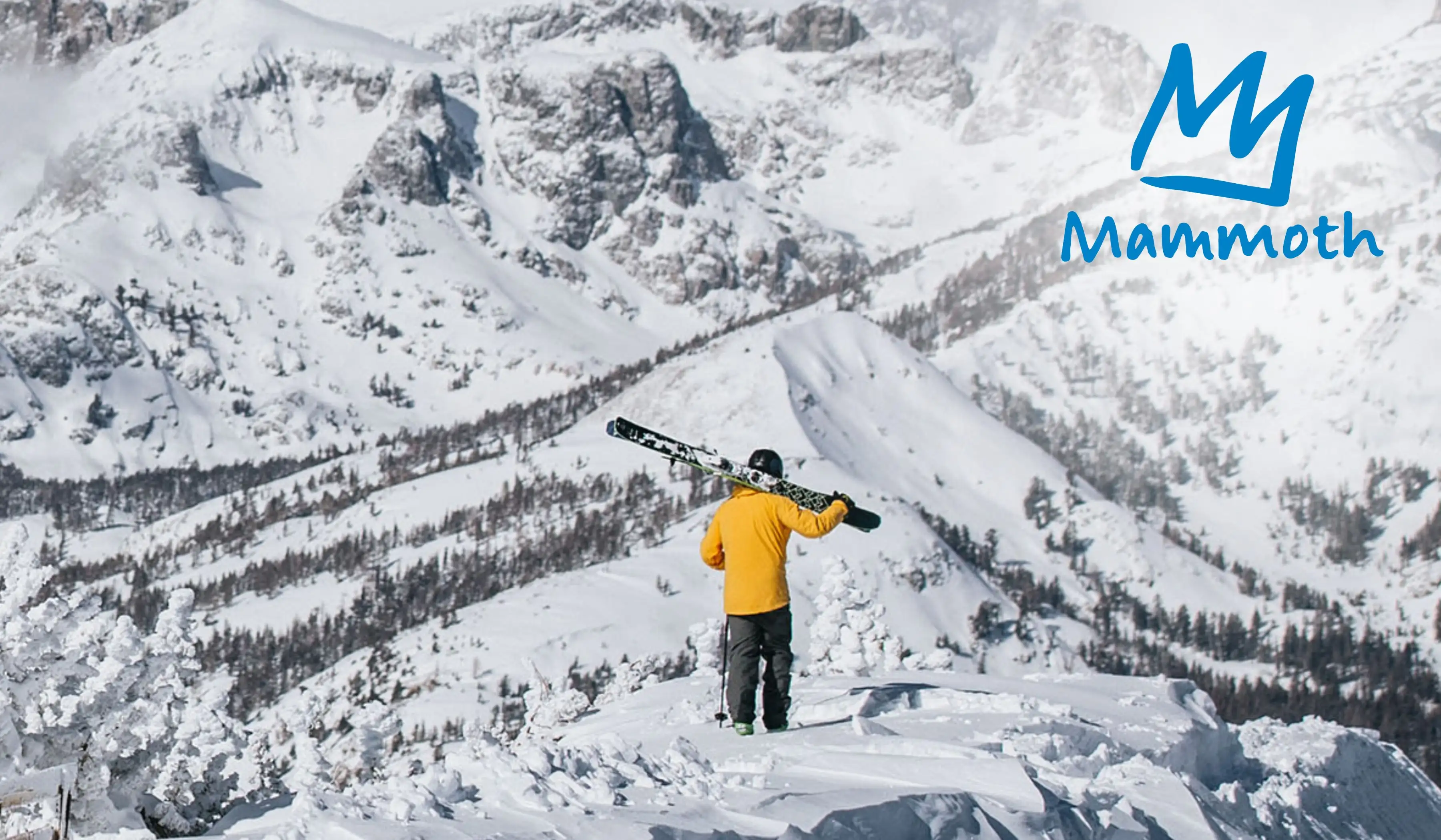 Mammoth Mountain Ski Area