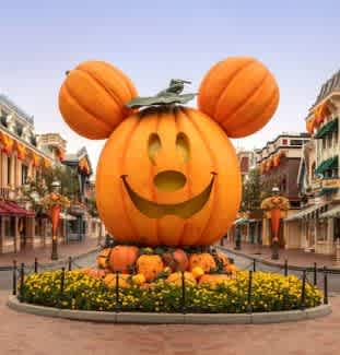 12 Saving Tips: How to Save Money at Disney World Orlando