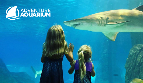 Adventure Aquarium