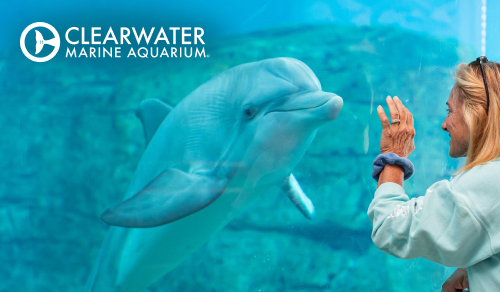 Clearwater Marine Aquarium