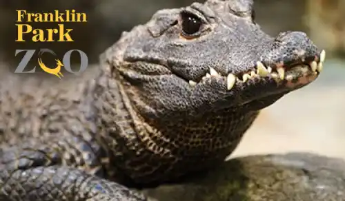 Franklin Park Zoo: Zoo New England