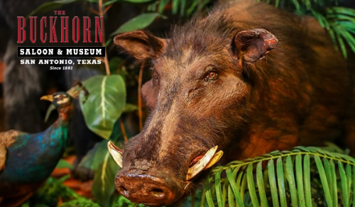 Buckhorn Saloon and Texas Ranger Museum