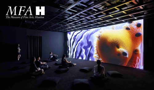 Museum of Fine Arts, Houston 