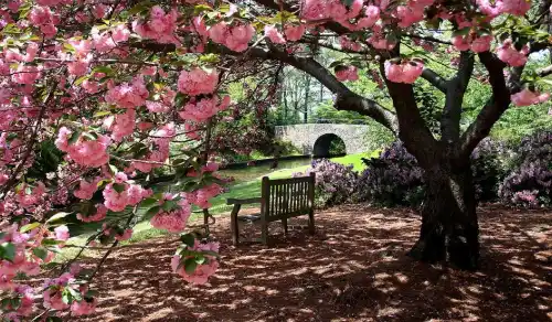 Visit Norfolk - Passport to Fun