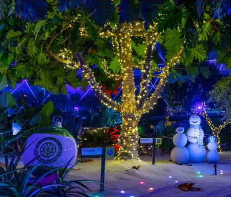 12 Saving Tips: How to Save Money at Disney World Orlando