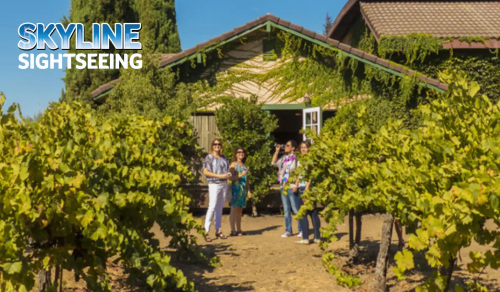 City & Wine: 1-Day Hop-On Hop-Off + Wine Country