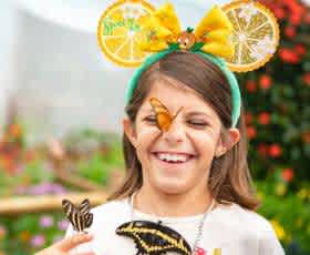 12 Saving Tips: How to Save Money at Disney World Orlando