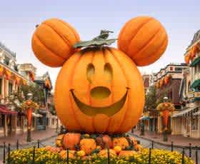 12 Saving Tips: How to Save Money at Disney World Orlando