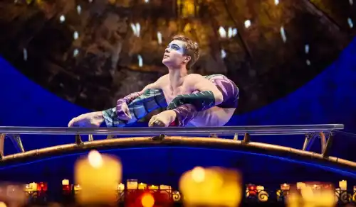 Cirque du Soleil Luzia Washington