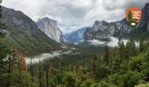 Yosemite National Park Tour
