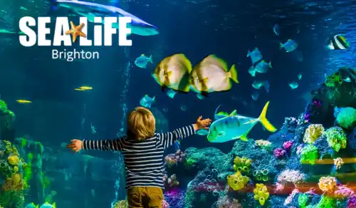 Sea Life Brighton