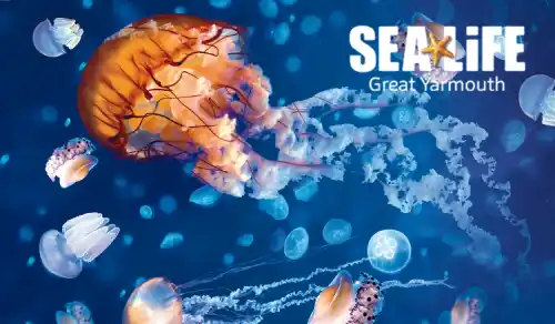 Sea Life Great Yarmouth