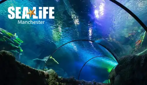 Sea Life Manchester
