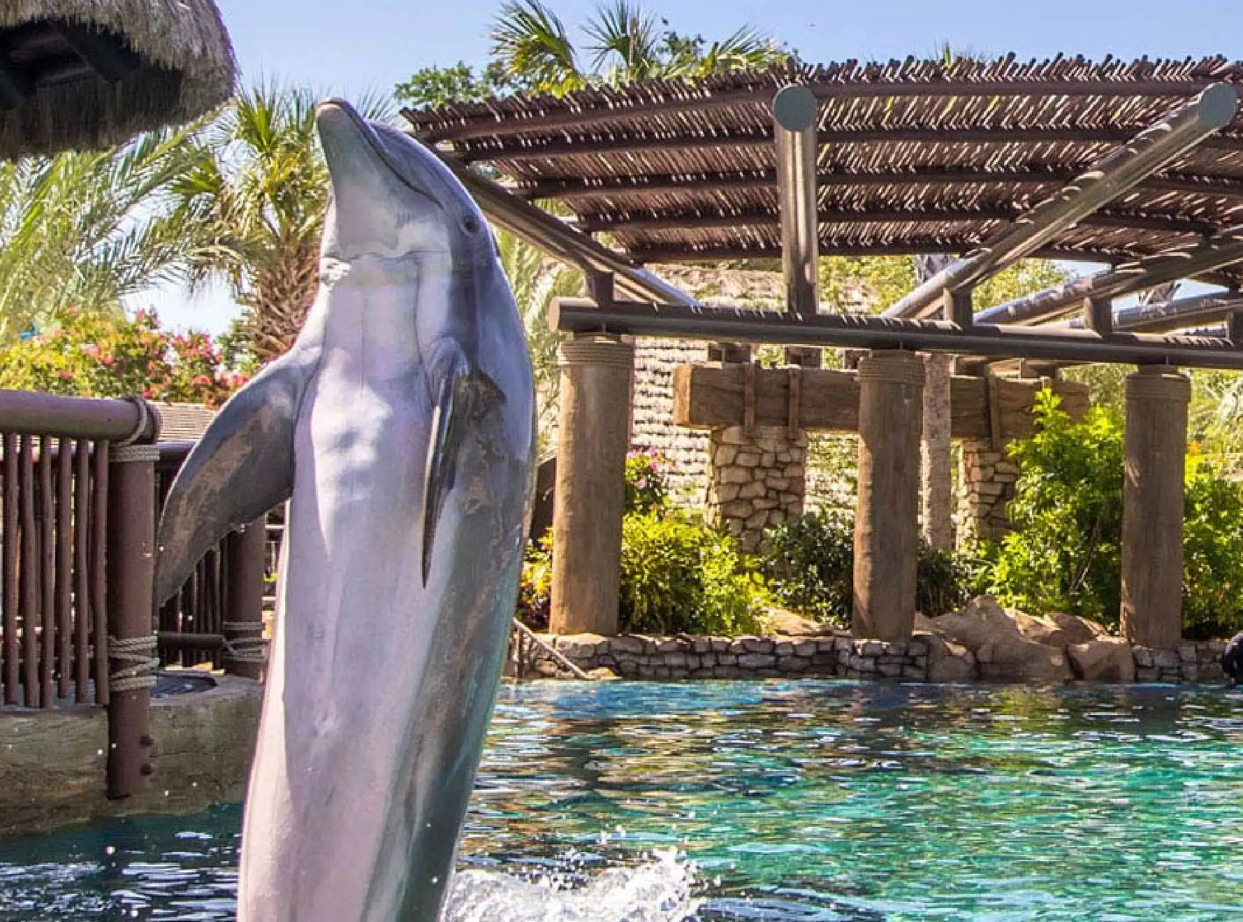 SeaWorld San Antonio