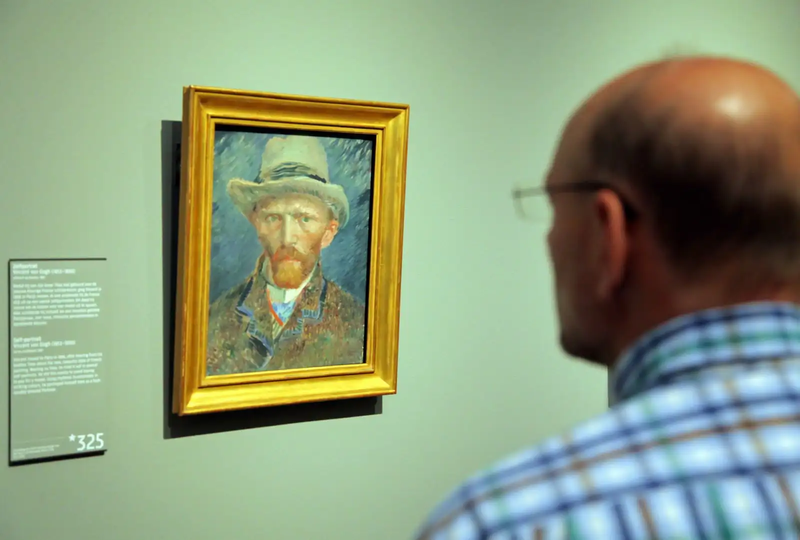 Van Gogh Museum Tickets & Small Group Guided Tour