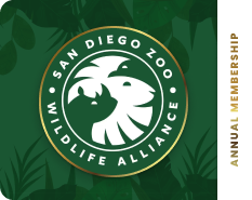 San Diego Zoo
