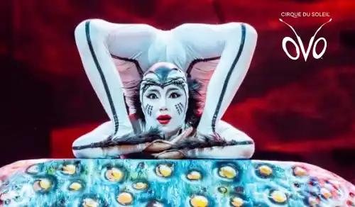 Cirque du Soleil: OVO London